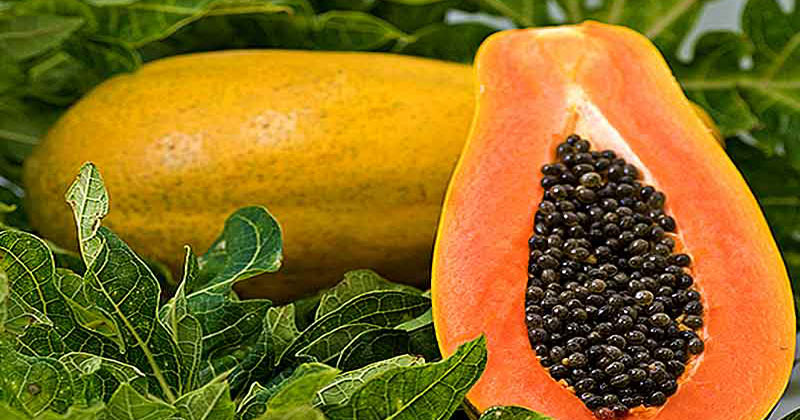 Health-Benefits-Of-Papaya