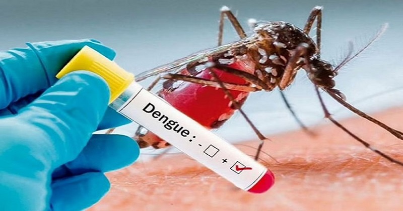 Dengue outbreak hits Bangladesh hard: cases surpass 300,000