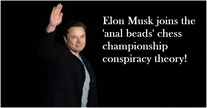 Elon Musk weighs on theory of Hans Niemann using 'vibrating anal beads' in  Chess Championship